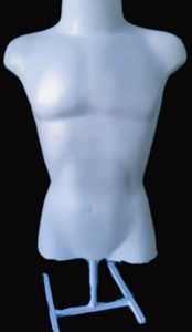Busto Manequim Masculino